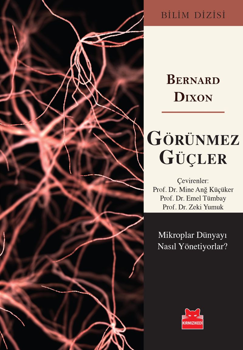 Görünmez Güçler
