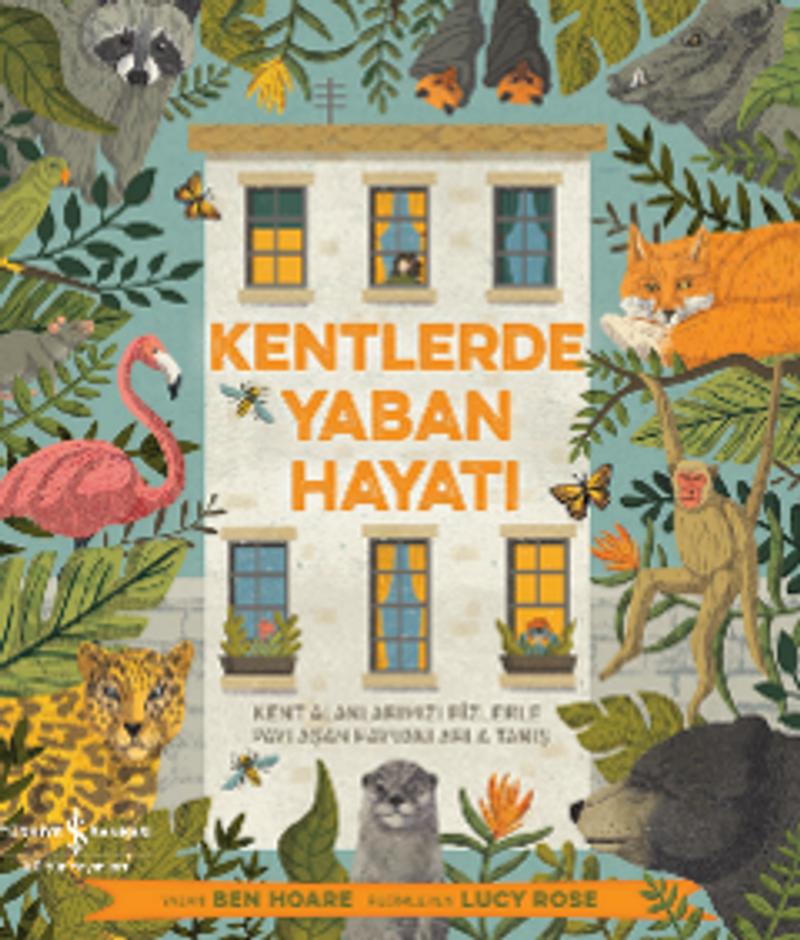 Kitap Yurdu