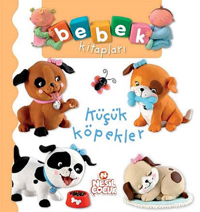 Kitap Yurdu
