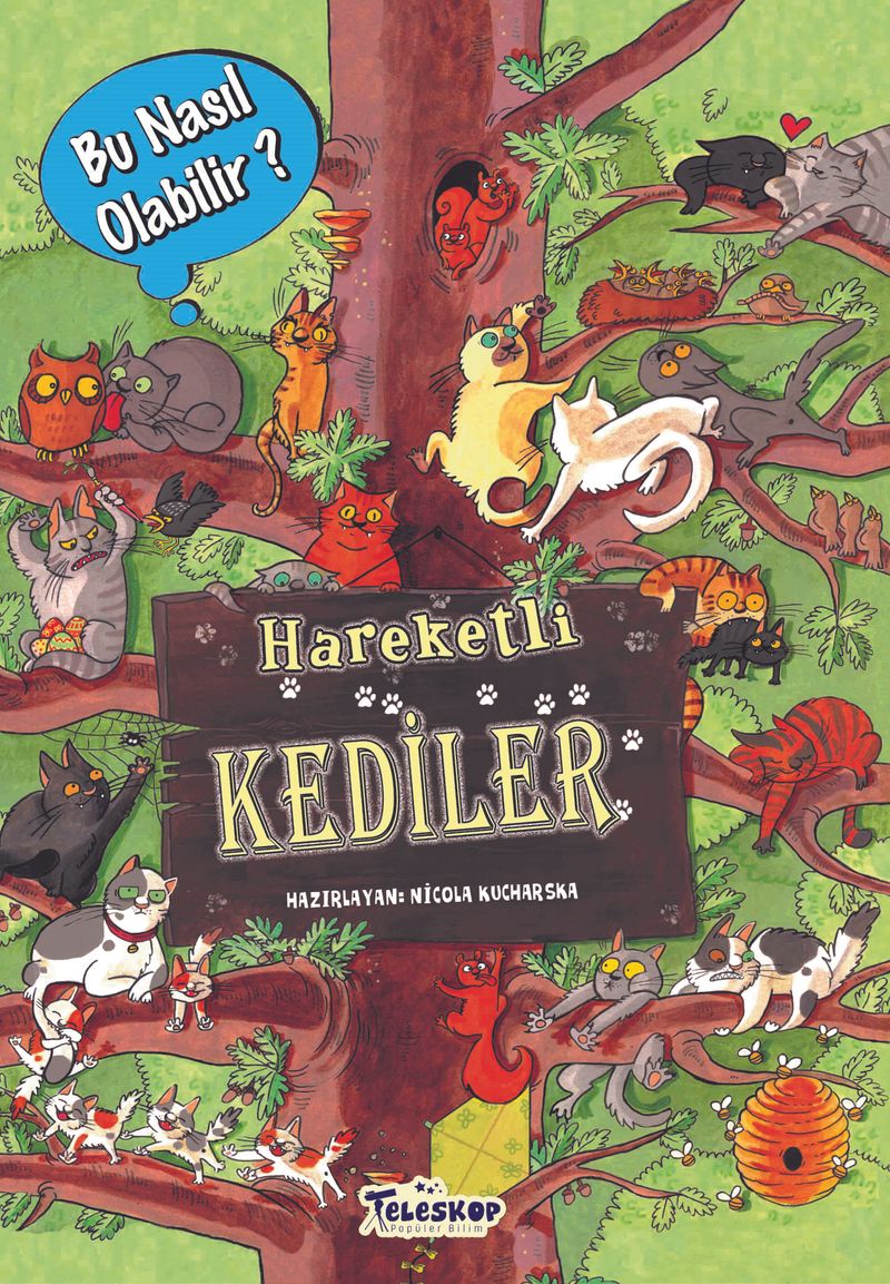 Kitap Yurdu