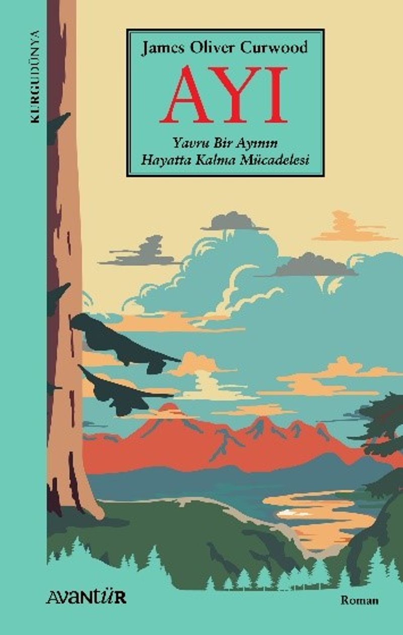 Kitap Yurdu
