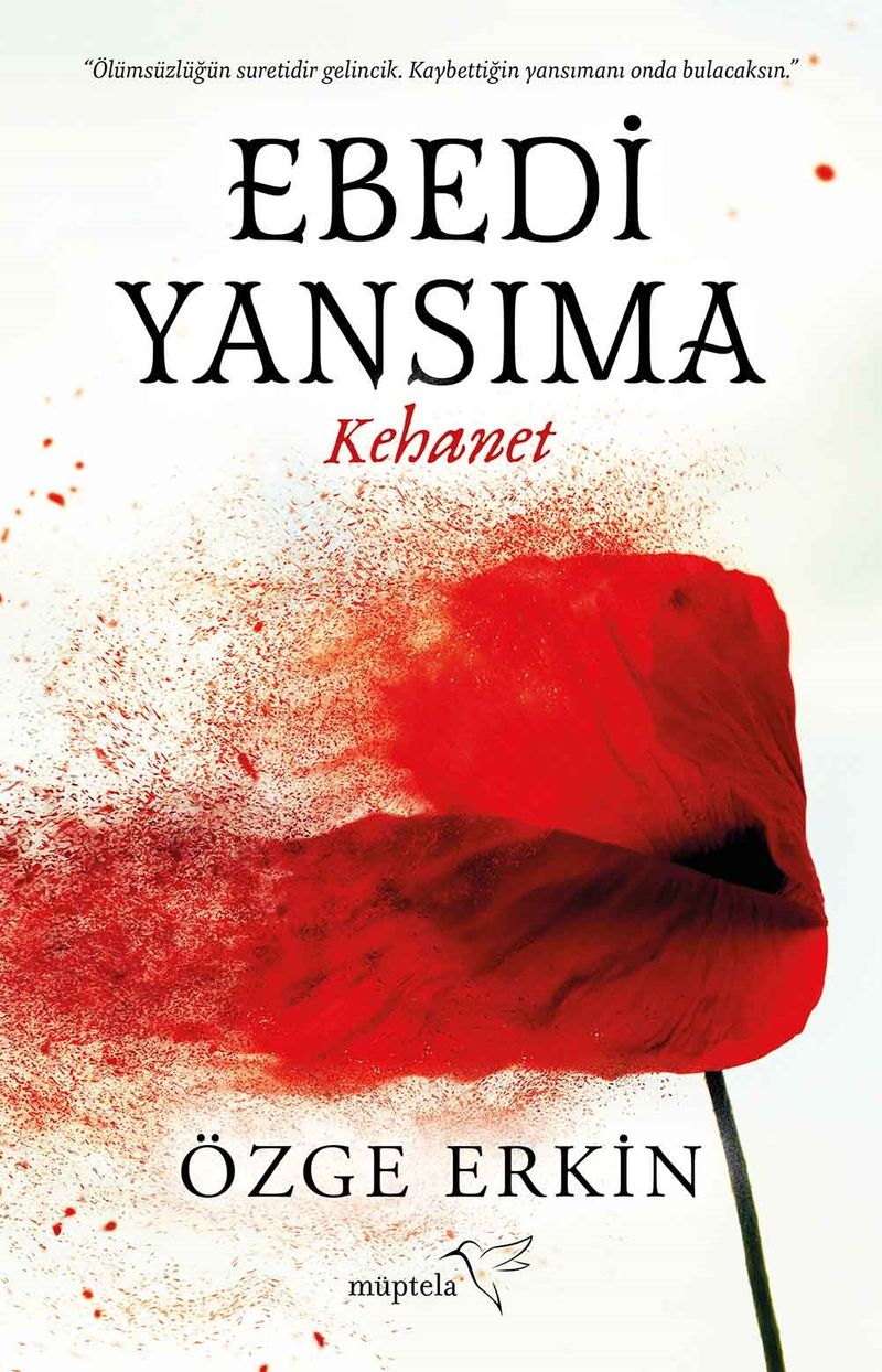 Kitap Yurdu