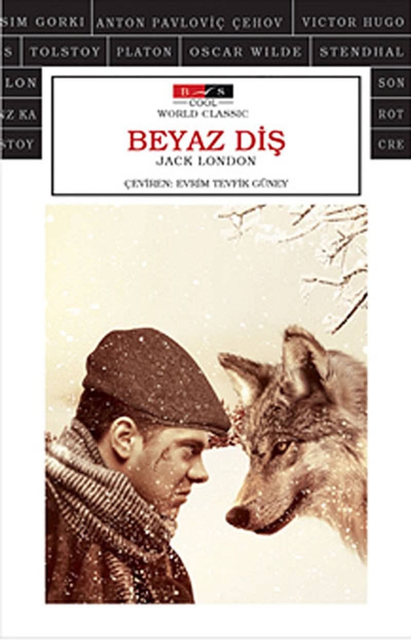 Kitap Yurdu
