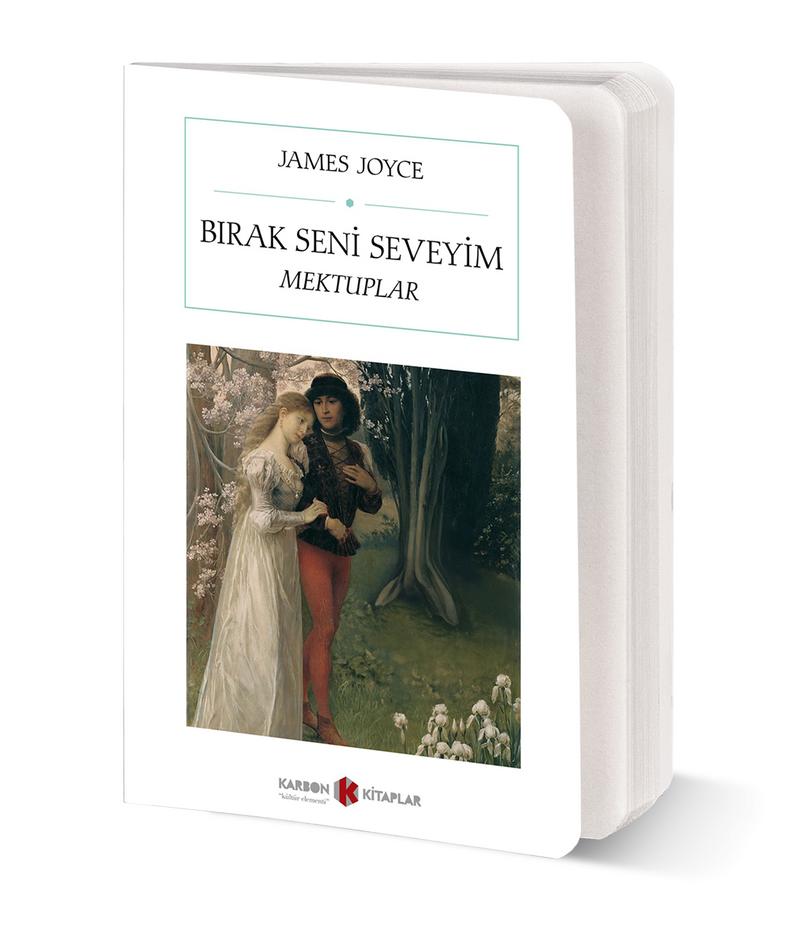 Bırak Seni Seveyim