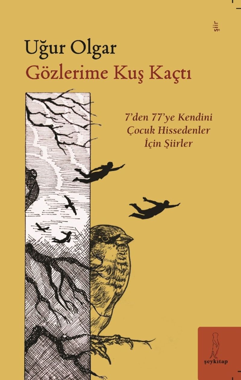 Gözlerime Kuş Kaçtı 7den 77ye Şiirler