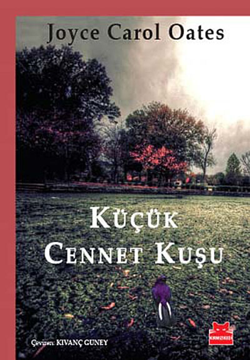 Kitap Yurdu