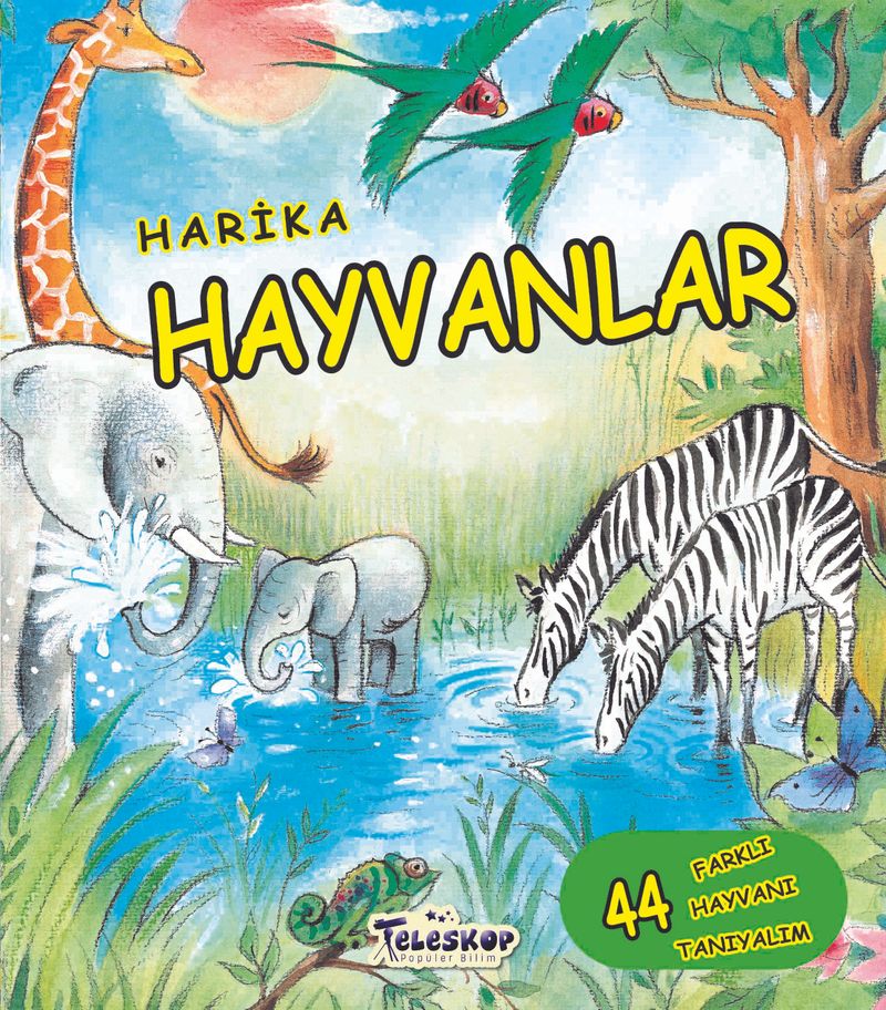 Kitap Yurdu