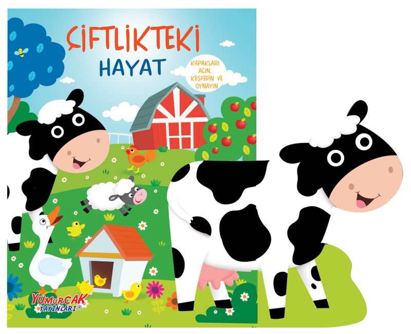 Kitap Yurdu