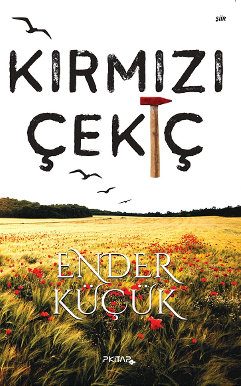 Kitap Yurdu