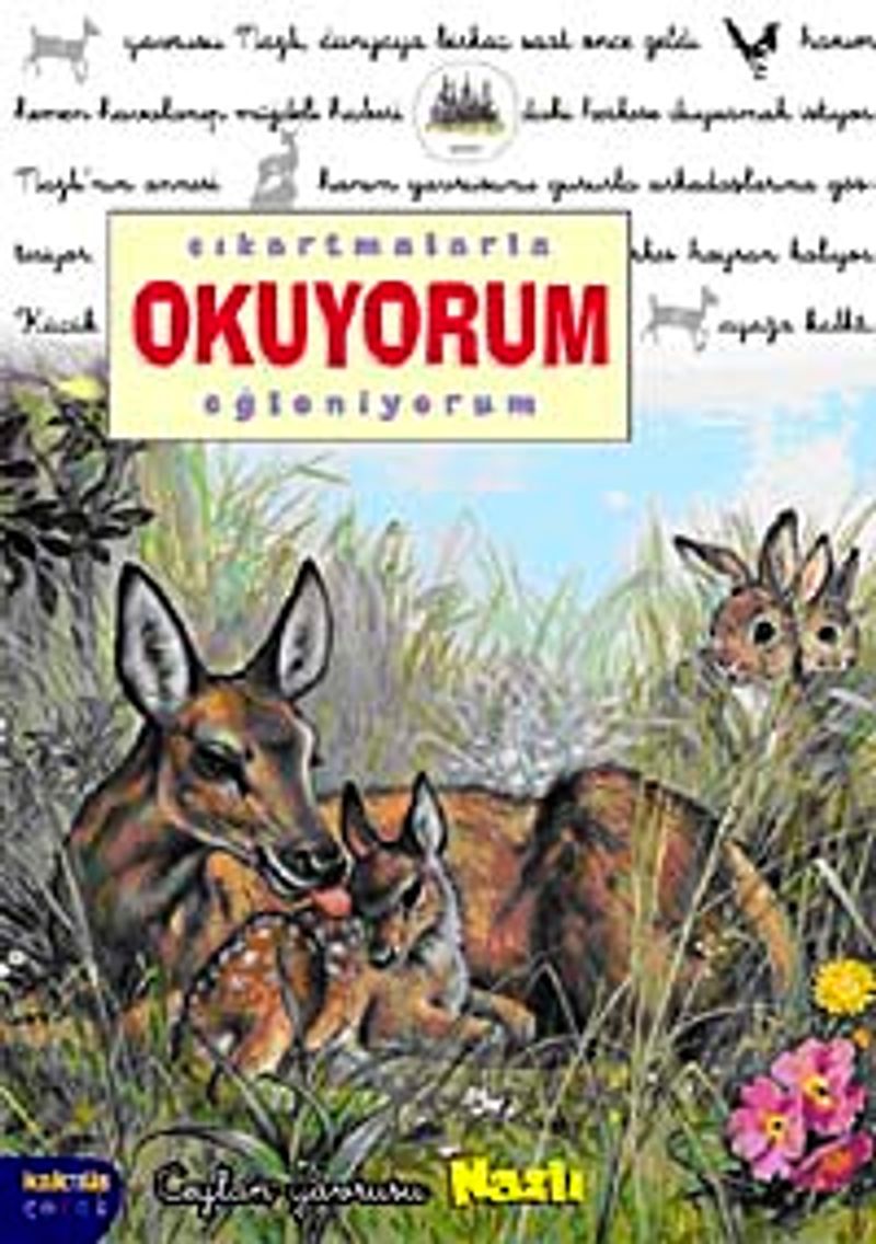 Kitap Yurdu