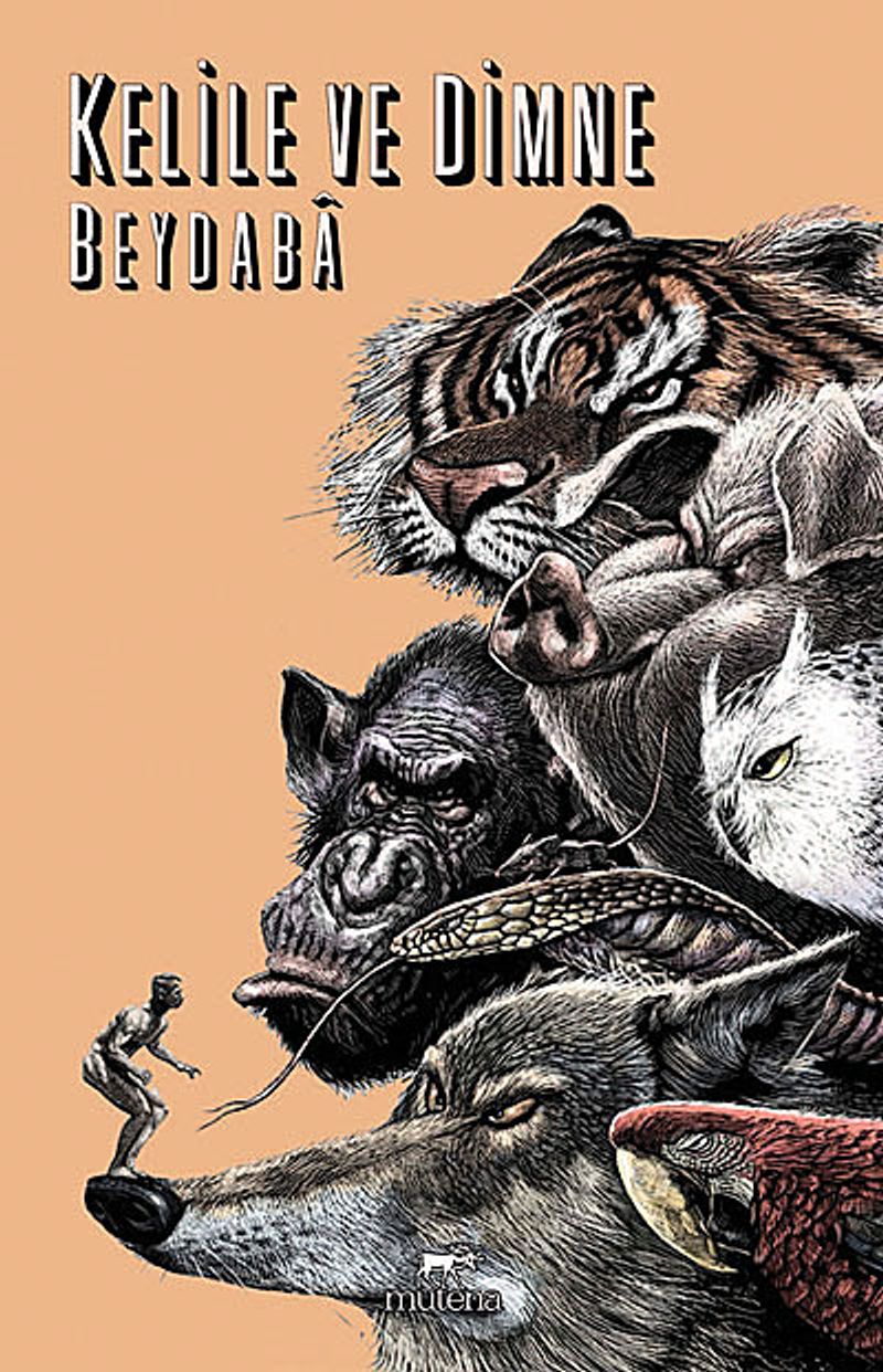 Kitap Yurdu