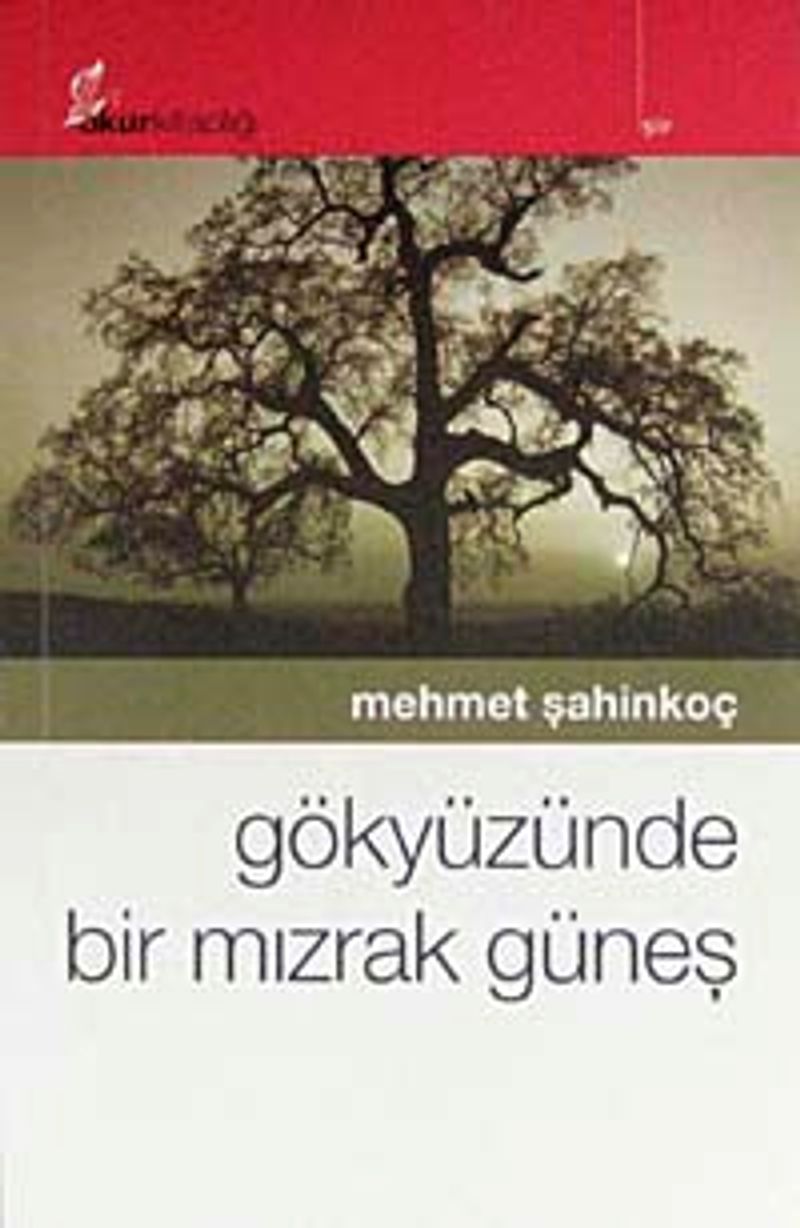 Kitap Yurdu