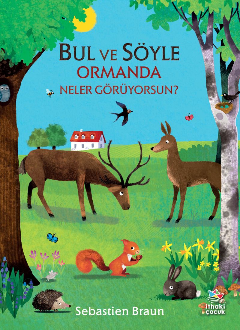 Bul ve Söyle Şehirde Neler Görüyorsun