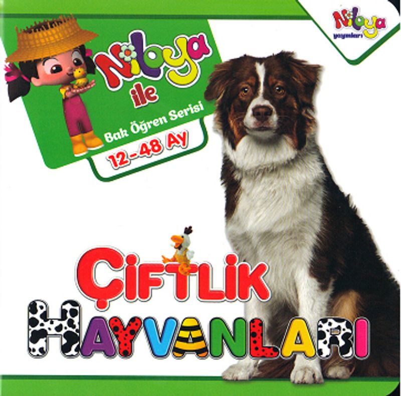 Kitap Yurdu