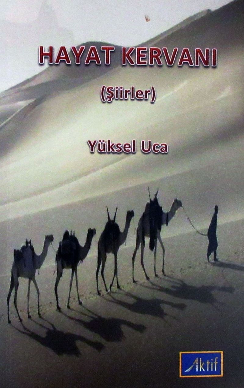 Sağlık Coğrafyası