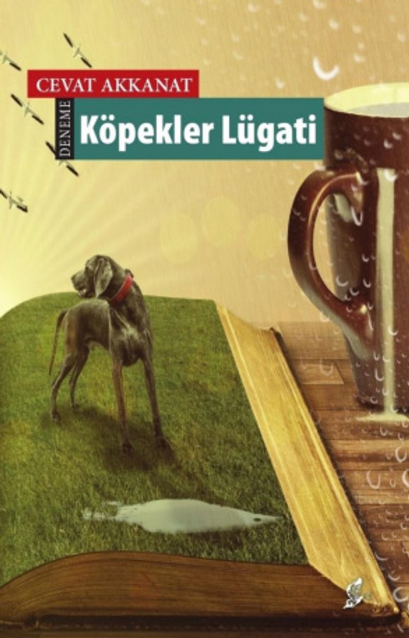 Kitap Yurdu