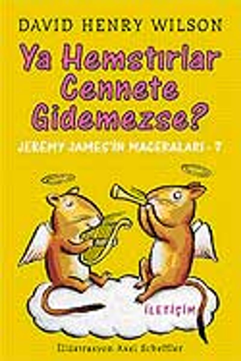 Ya Hemstırlar Cennete Gidemezse