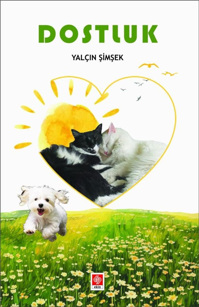 Kitap Yurdu