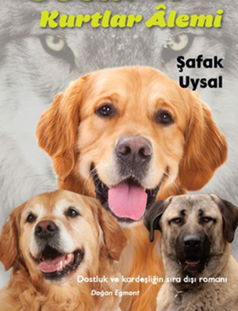 Kitap Yurdu