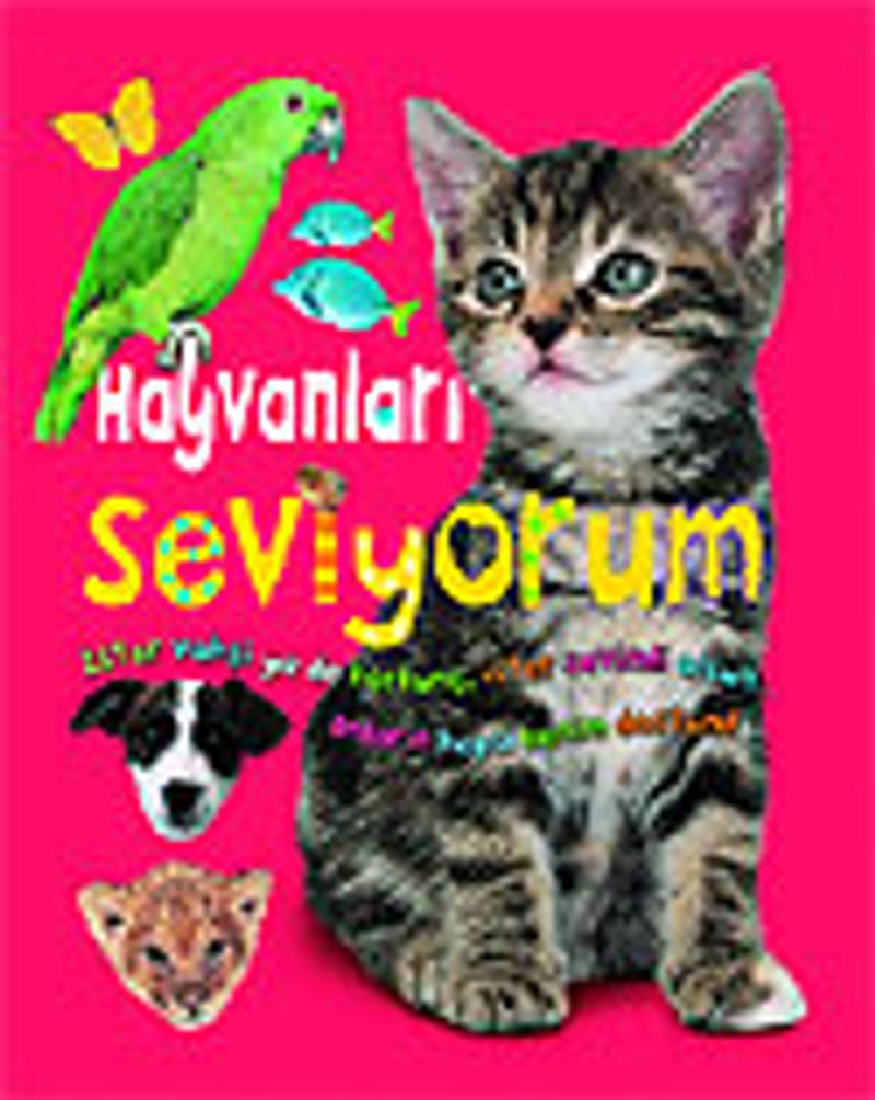 Kitap Yurdu