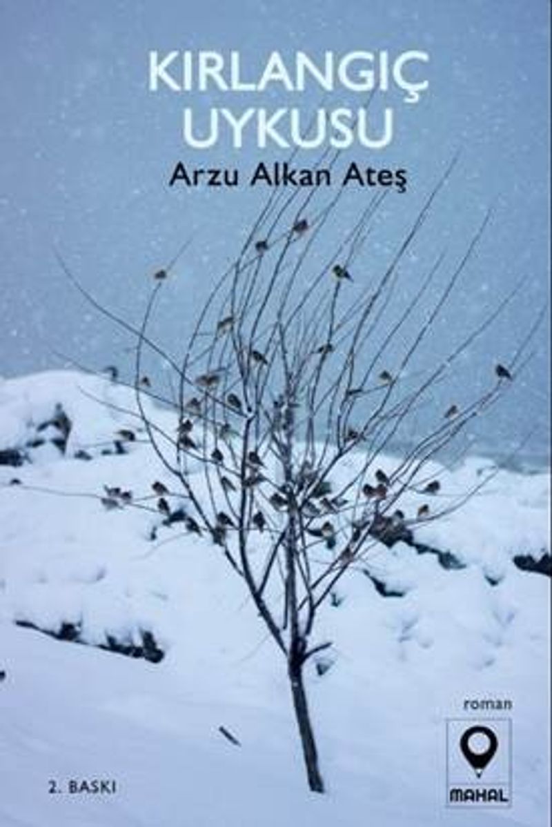 Kırlangıç Uykusu