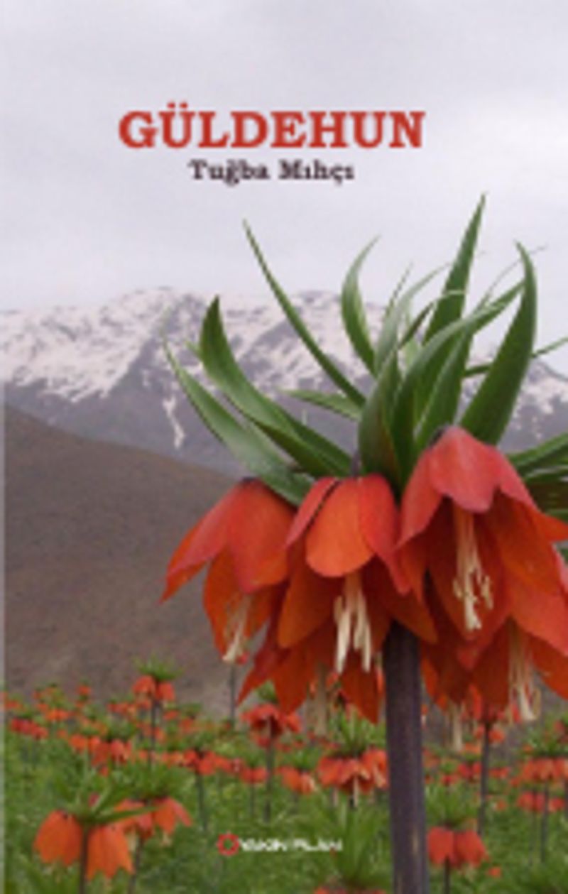 Kitap Yurdu