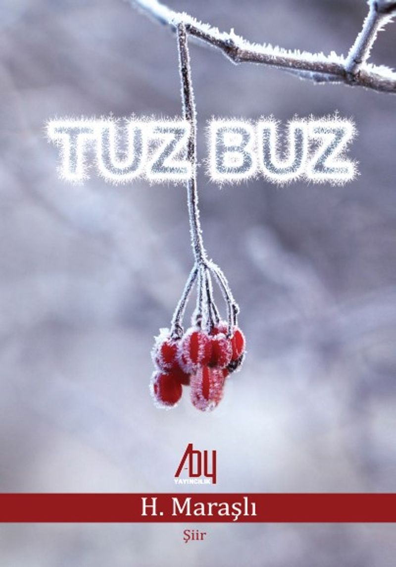 Tuz Buz