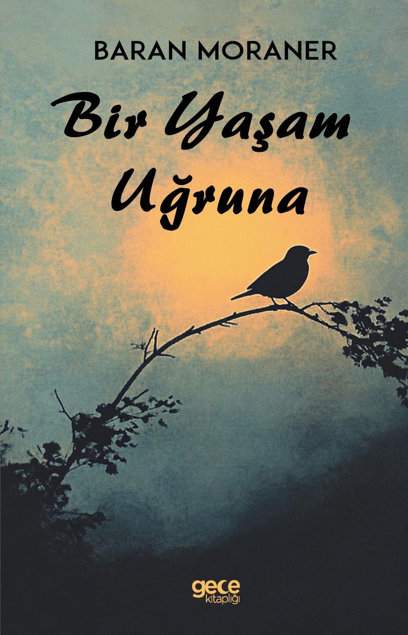 Kitap Yurdu