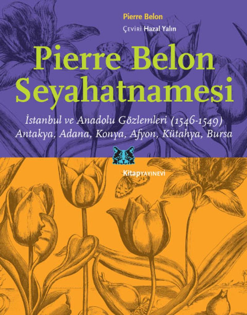 Kitap Yurdu