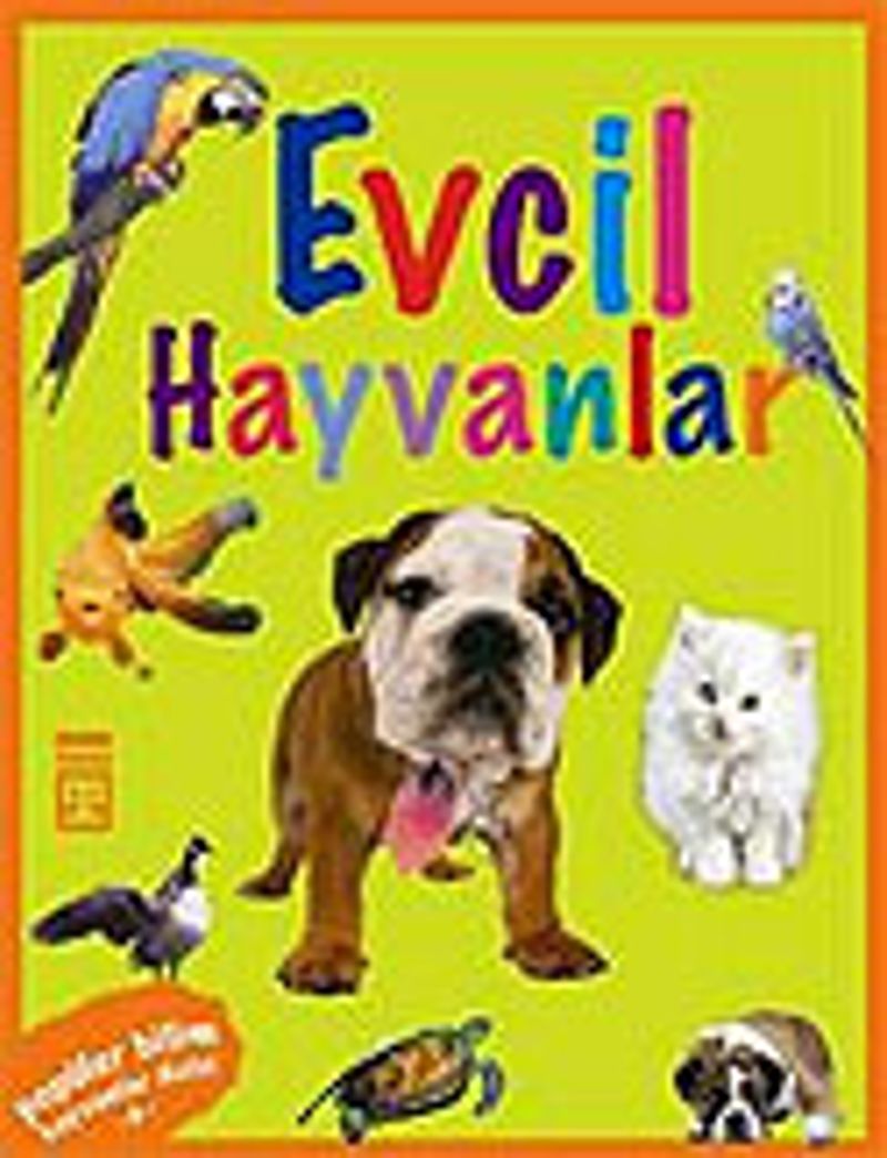 Kitap Yurdu