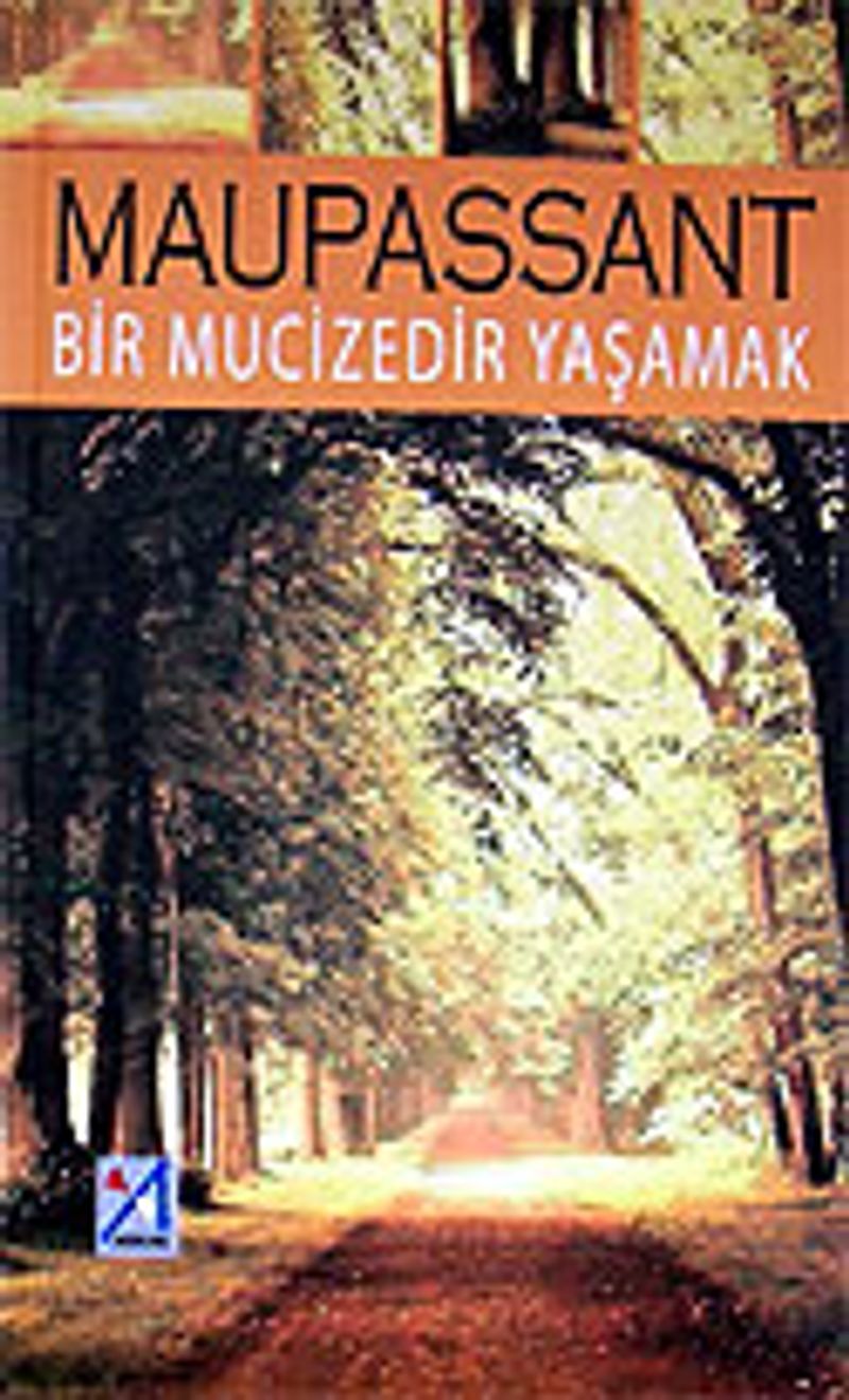 Kadının Ruhu
