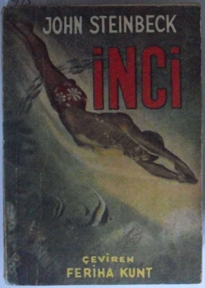 Kitap Yurdu