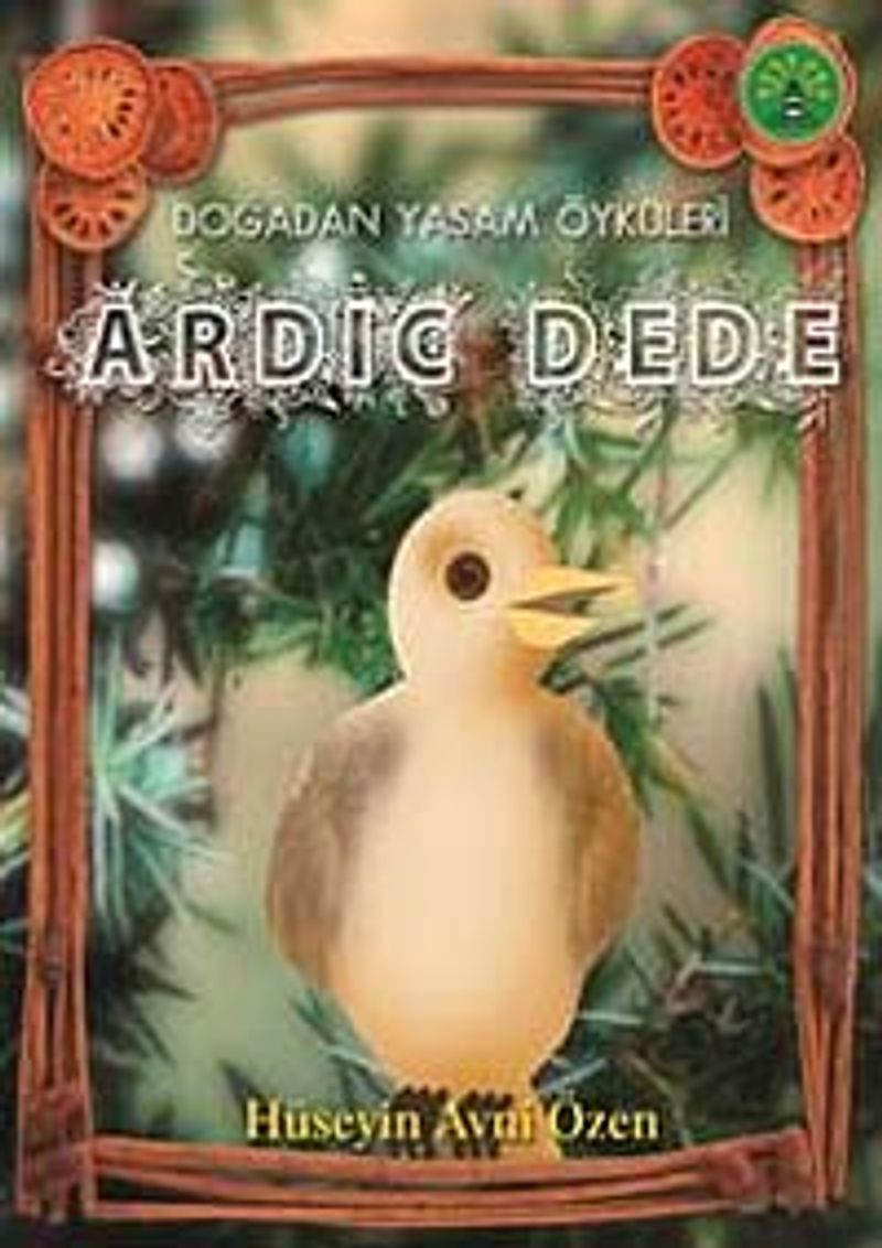 Kitap Yurdu