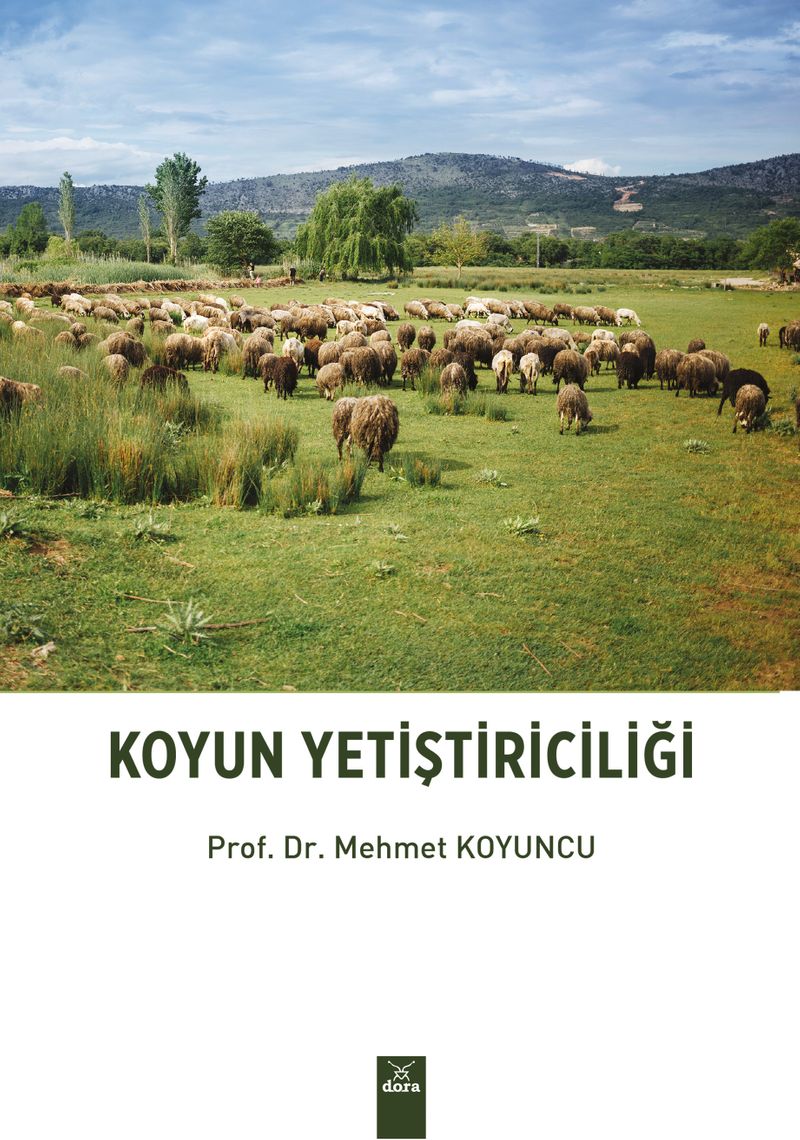 Kitap Yurdu