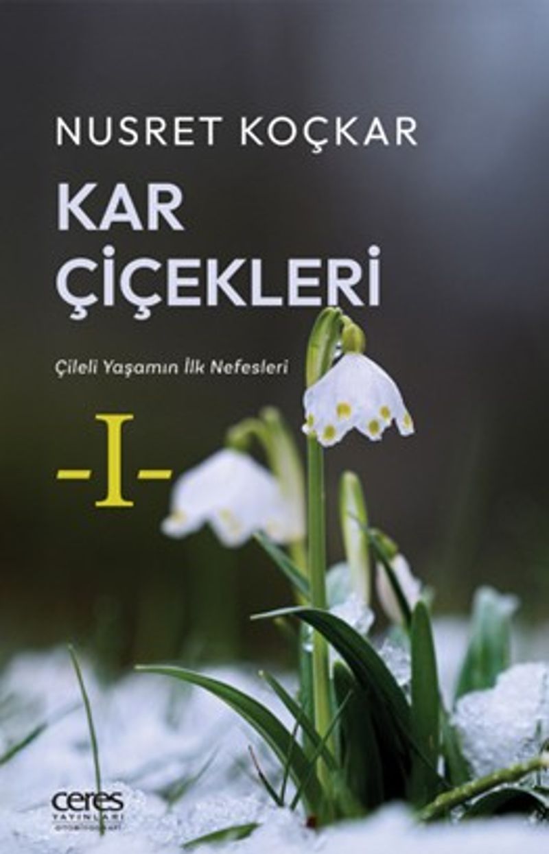 Kar Çiçekleri