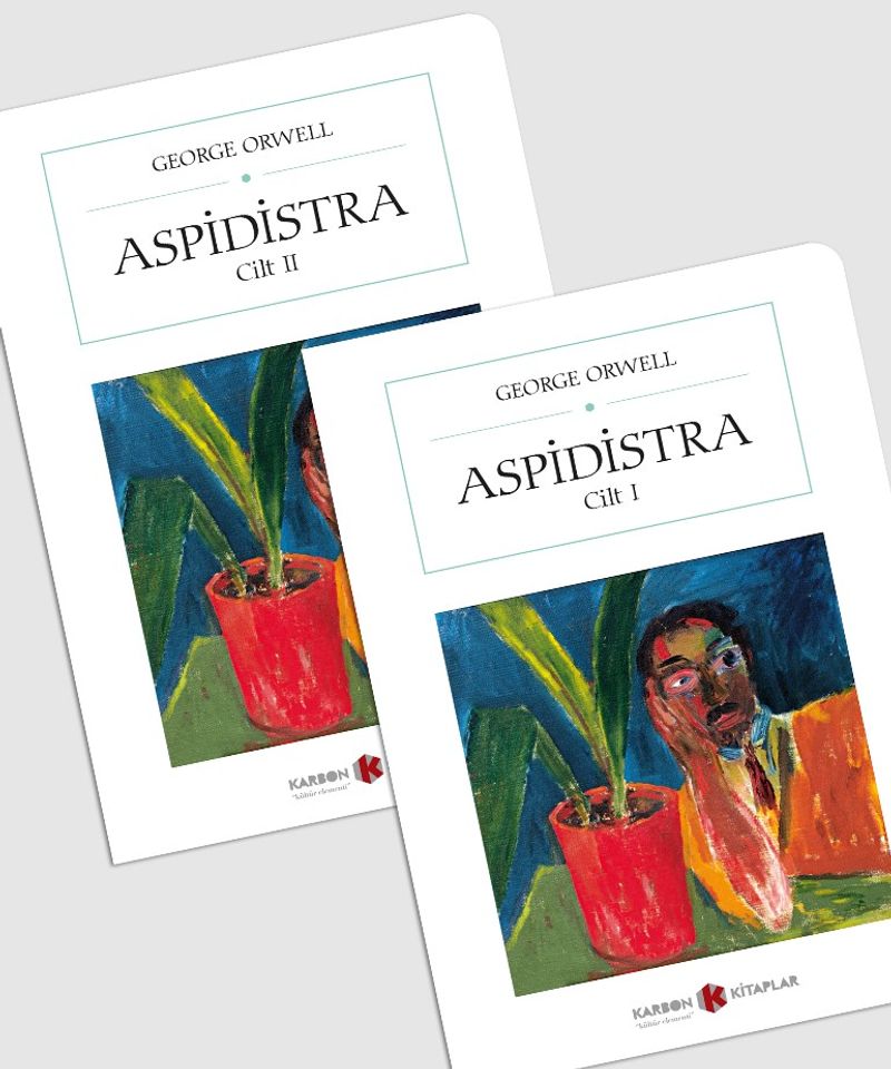 Aspidistra