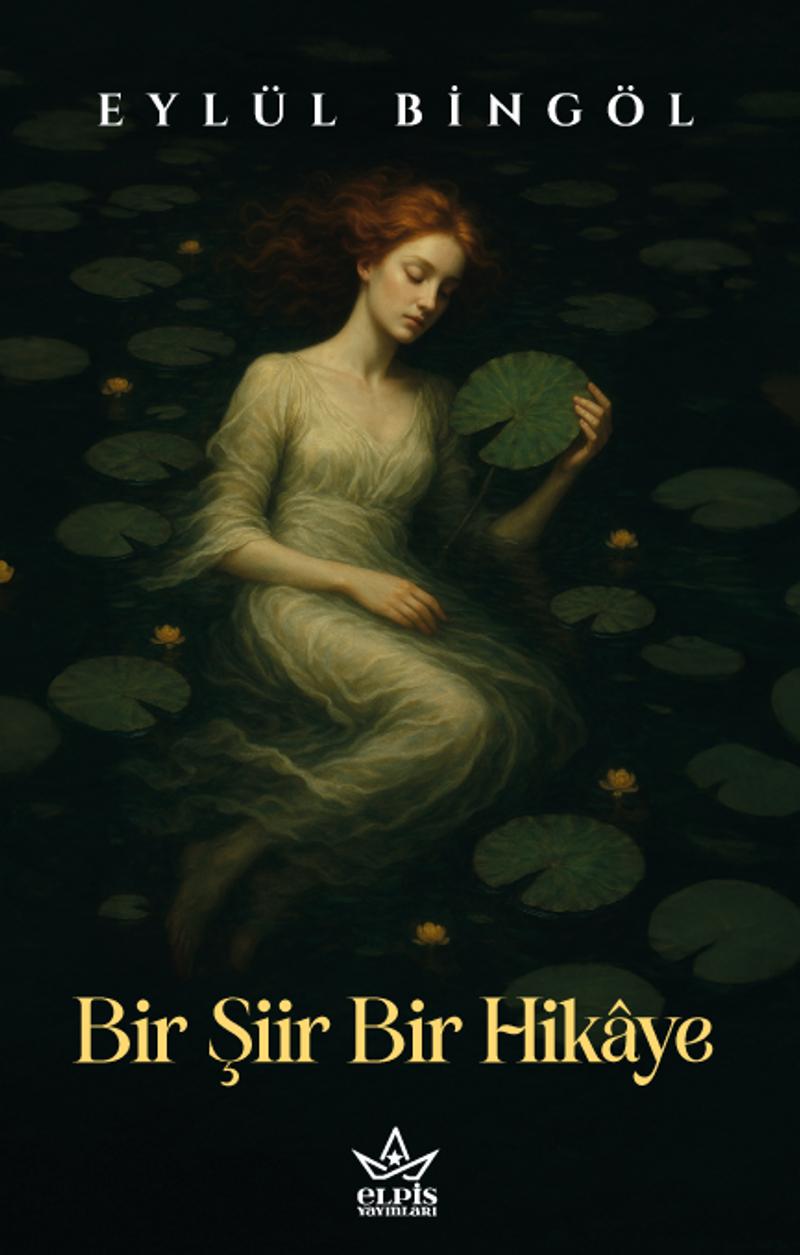 Bir Şiir Bir Hikâye