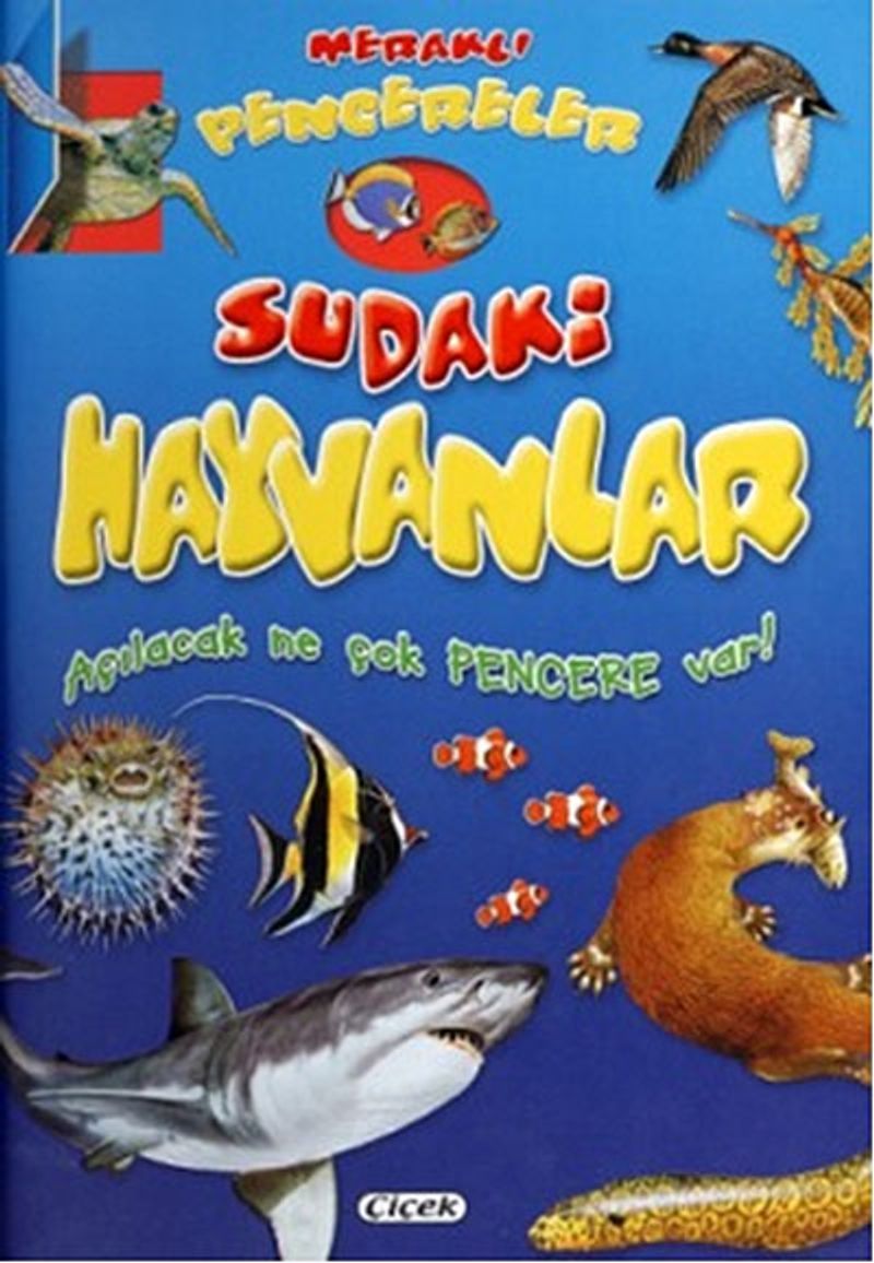 Kitap Yurdu
