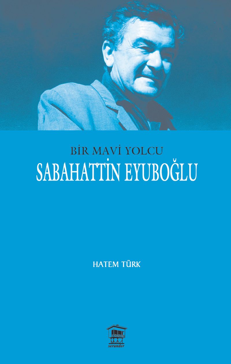Bir Mavi Yolcu