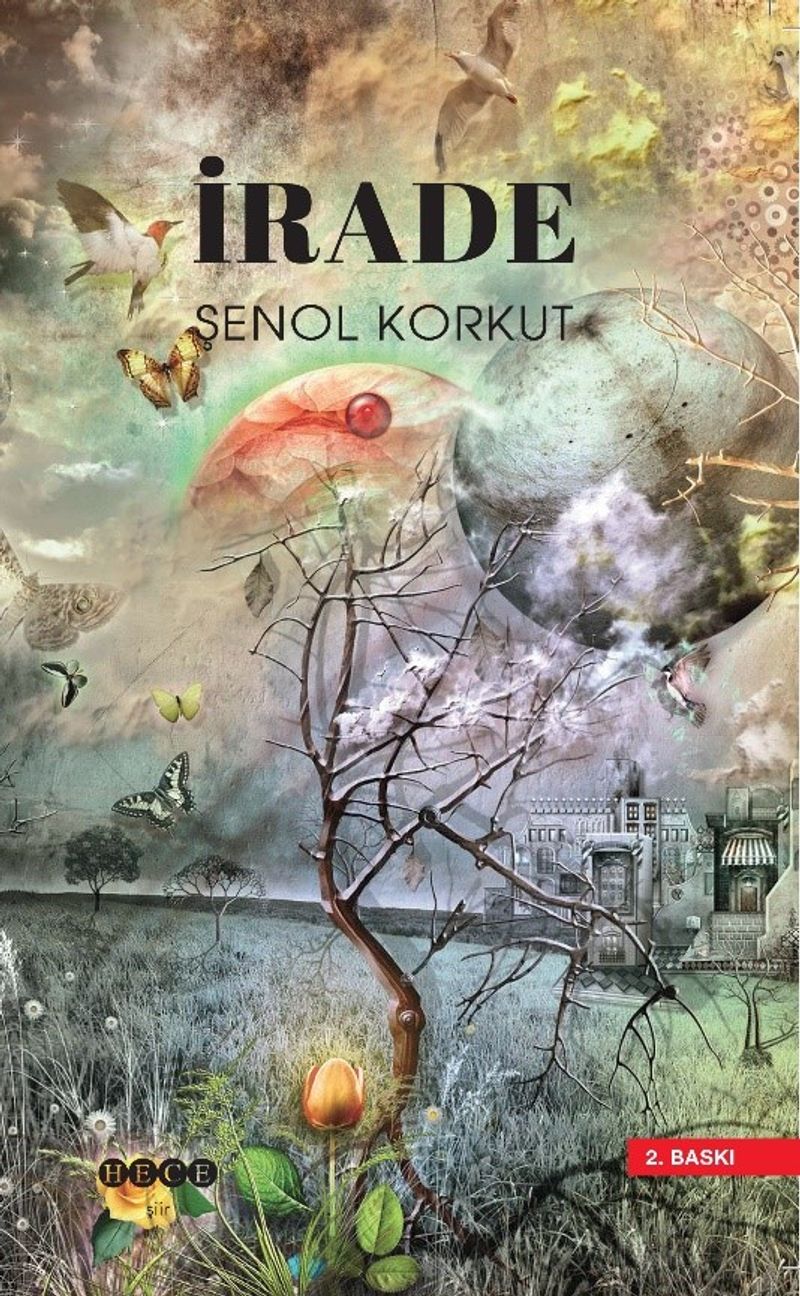 Kitap Yurdu