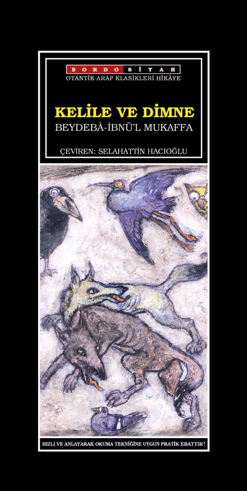 Kitap Yurdu