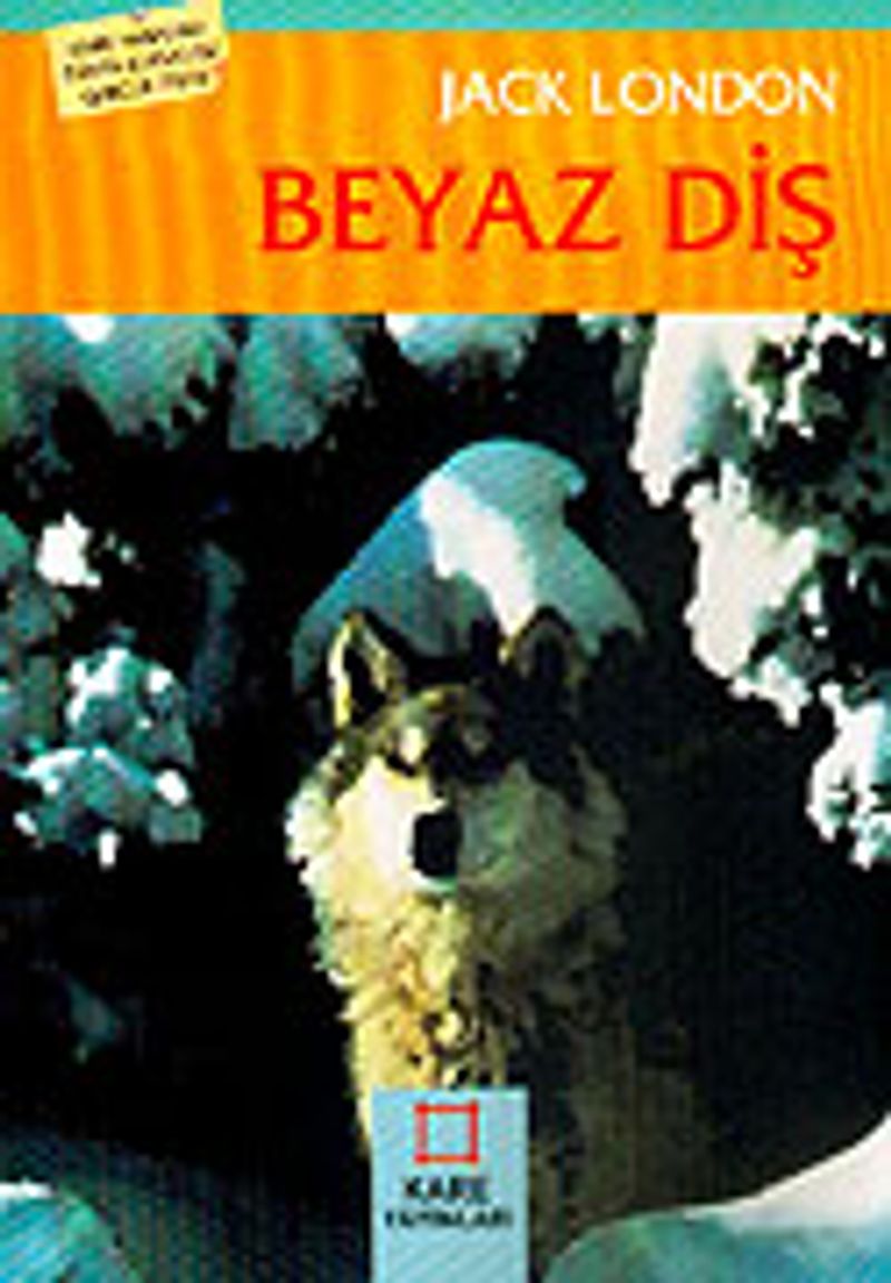 Kitap Yurdu