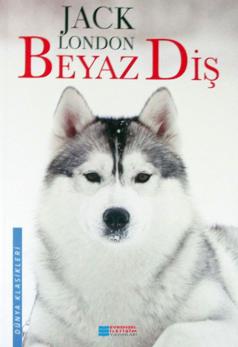 Kitap Yurdu