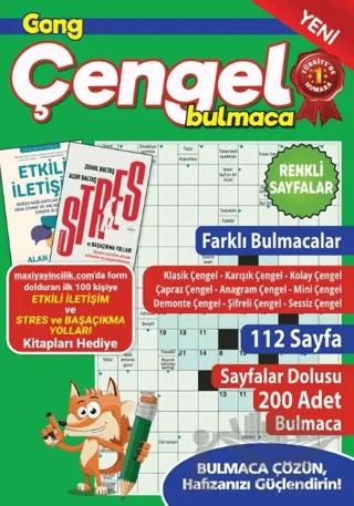Gong Çengel Bulmaca 24