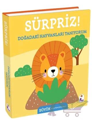 Sürpriz Doğadaki Hayvanları Tanıyorum