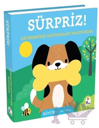 Sürpriz Çevremdeki Hayvanları Tanıyorum