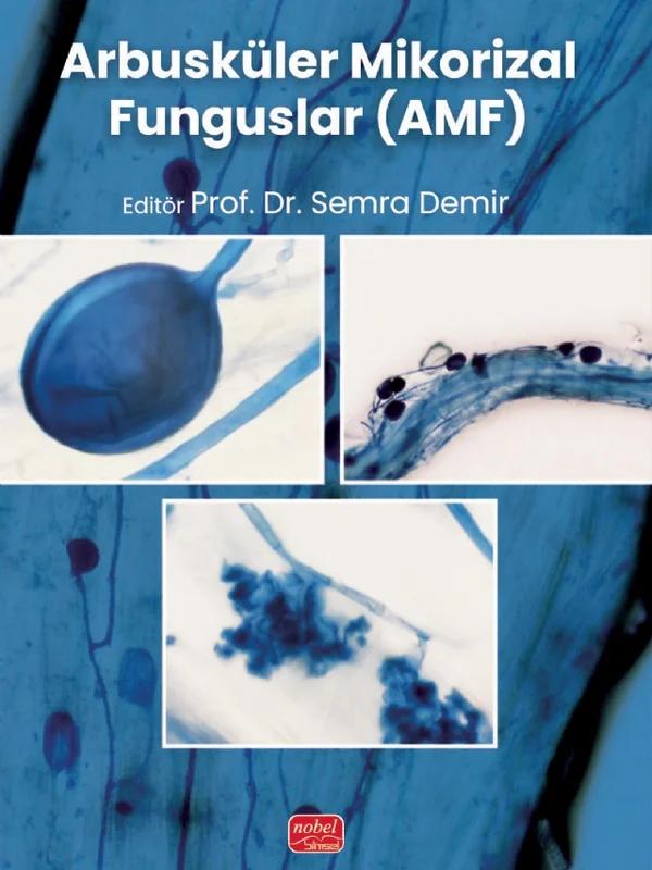 Arbusküler Mikorizal Funguslar AMF