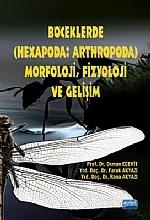 Böceklerde Hexapoda Arthropoda Morfoloji Fizyoloji ve Gelişim