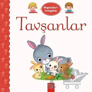 Hayvanları Tanıyalım Tavşanlar