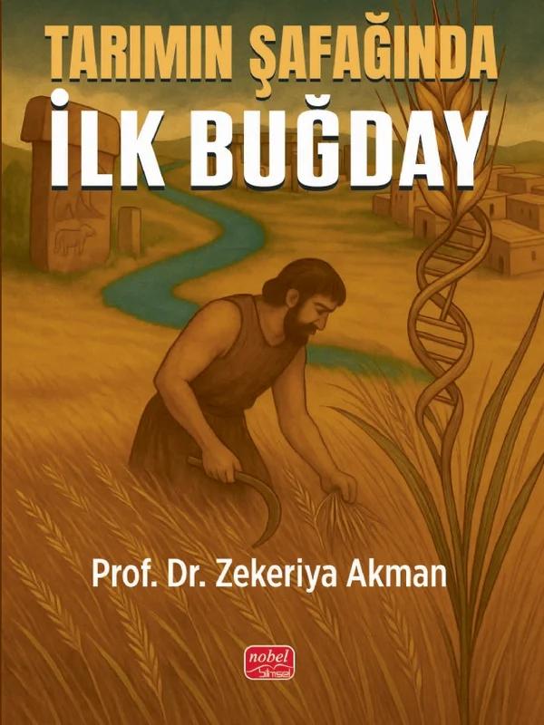 Tarımın Şafağında İlk Buğday